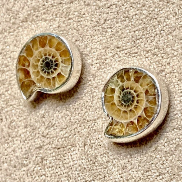 Fossil Ammonite high quality Earrings post