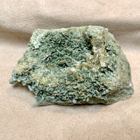 "Uralite" Actinolite after Diopside (Colorado)