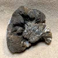 Goethite (Teller Co., Colorado)