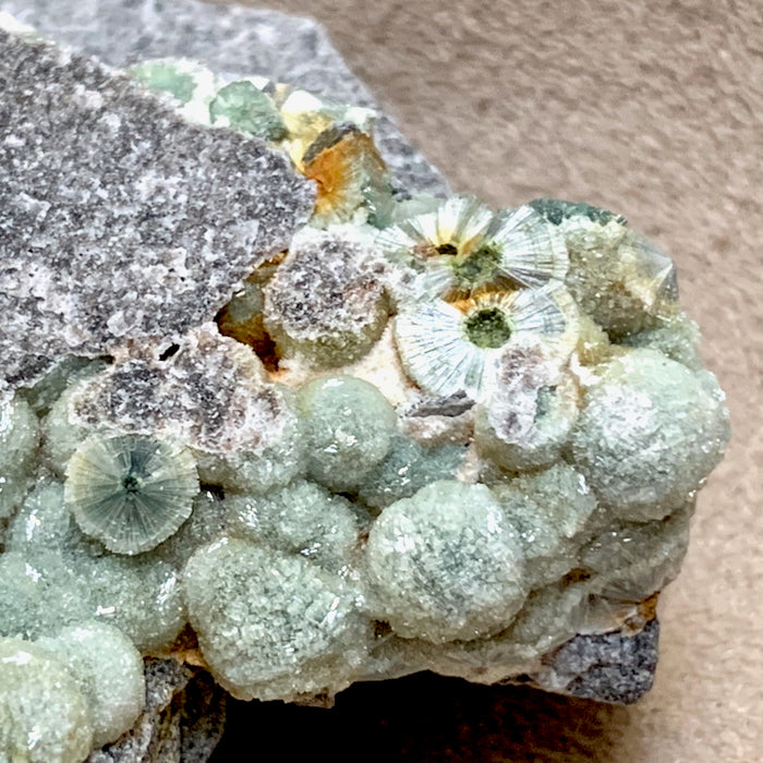 Wavellite on Matrix (Arkansas)