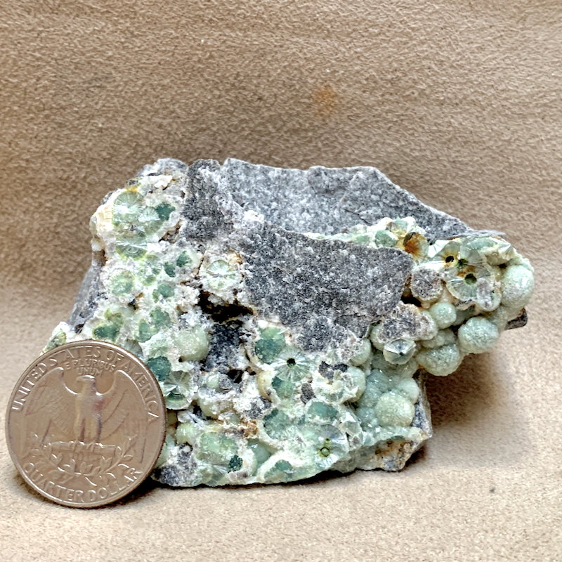 Wavellite on Matrix (Arkansas)