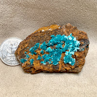 Rosasite with Gypsum (Mexico)