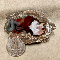 Geode Pair, Baker (Luna County, New Mexico)