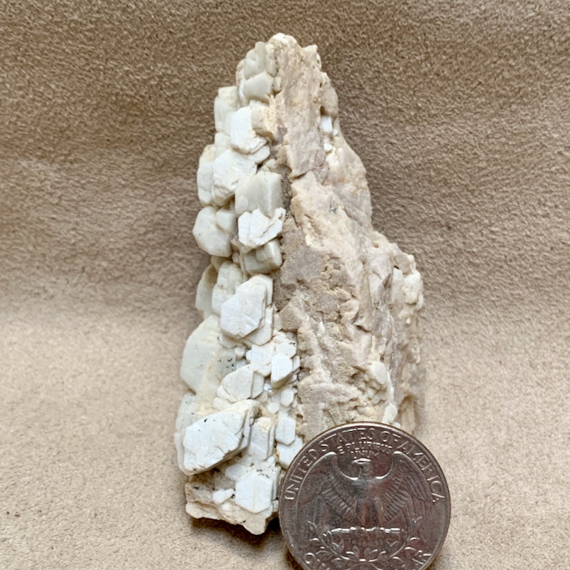 Albite on Orthoclase (Dona Ana County, New Mexico)