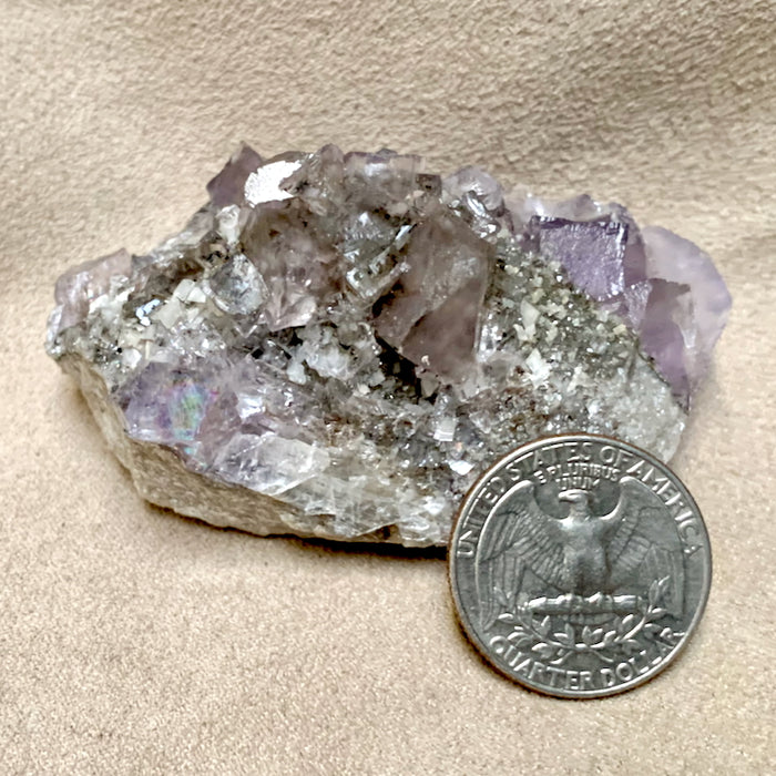 Fluorite and Dolomite (Tennessee)