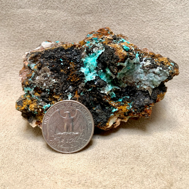 Aurichalcite, Gypsum & Goethite (Mexico)