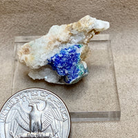 Linarite on Altered Galena (Blanchard Mine, Socorro Co., New Mexico)