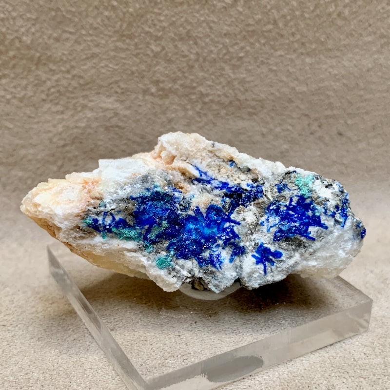 Linarite on Altered Galena (Blanchard Mine, Socorro Co., New Mexico)