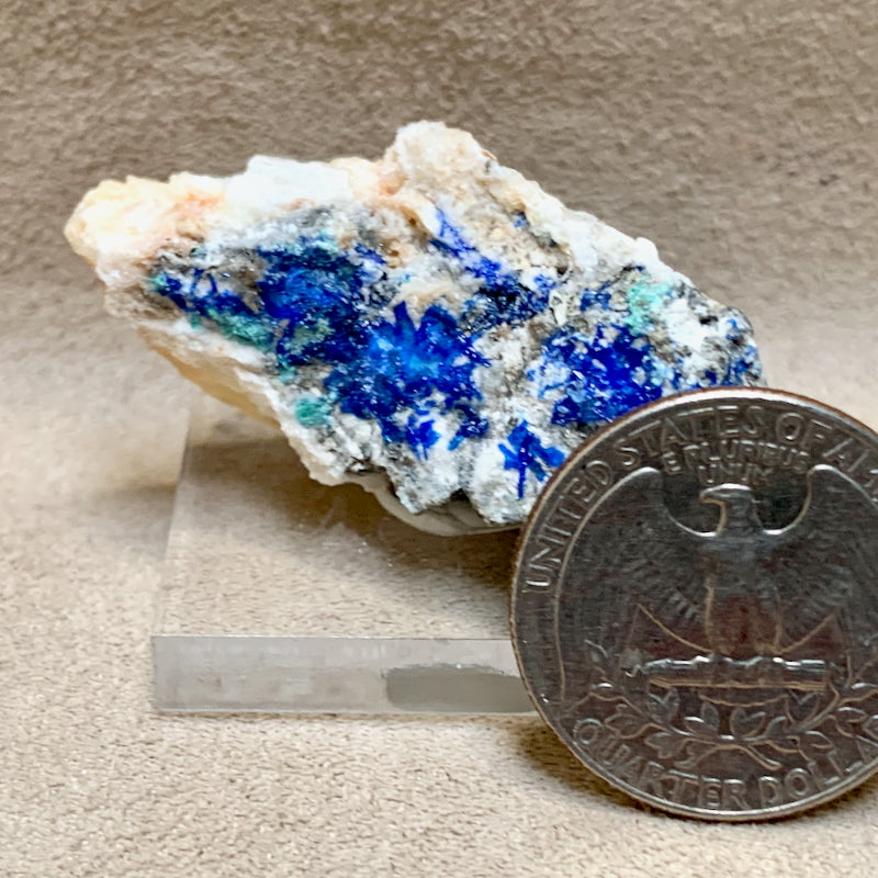 Linarite on Altered Galena (Blanchard Mine, Socorro Co., New Mexico)