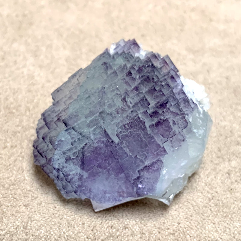 Fluorite (Mex-Tex Mine, Socorro Co., New Mexico)