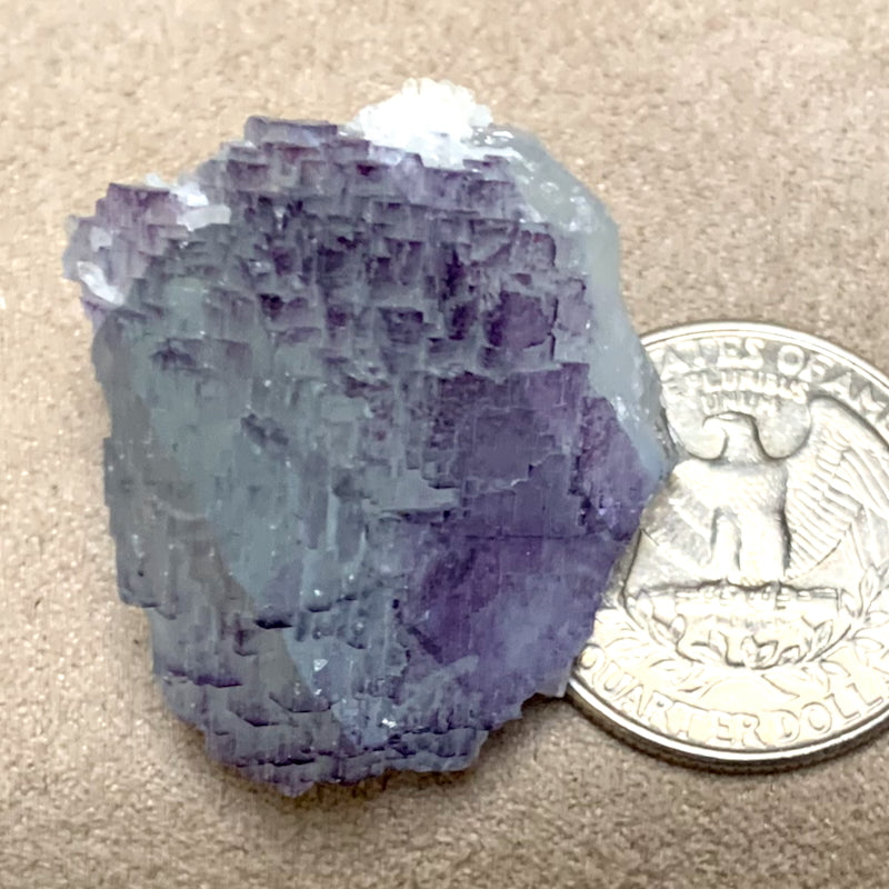 Fluorite (Mex-Tex Mine, Socorro Co., New Mexico)