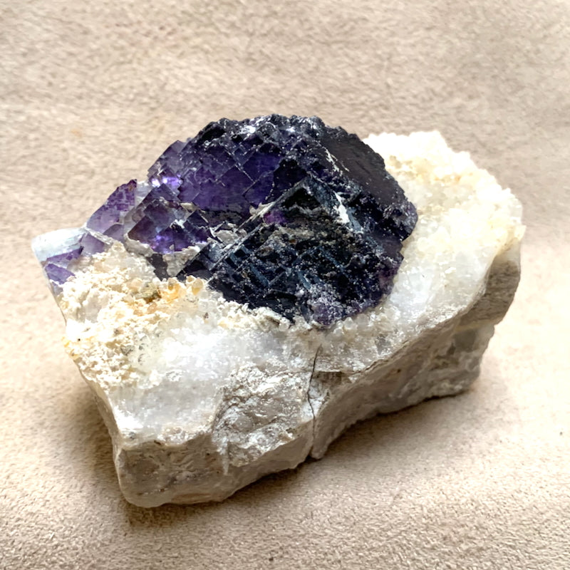 Fluorite and Quartz (Mex-Tex Mine, Socorro Co., New Mexico)