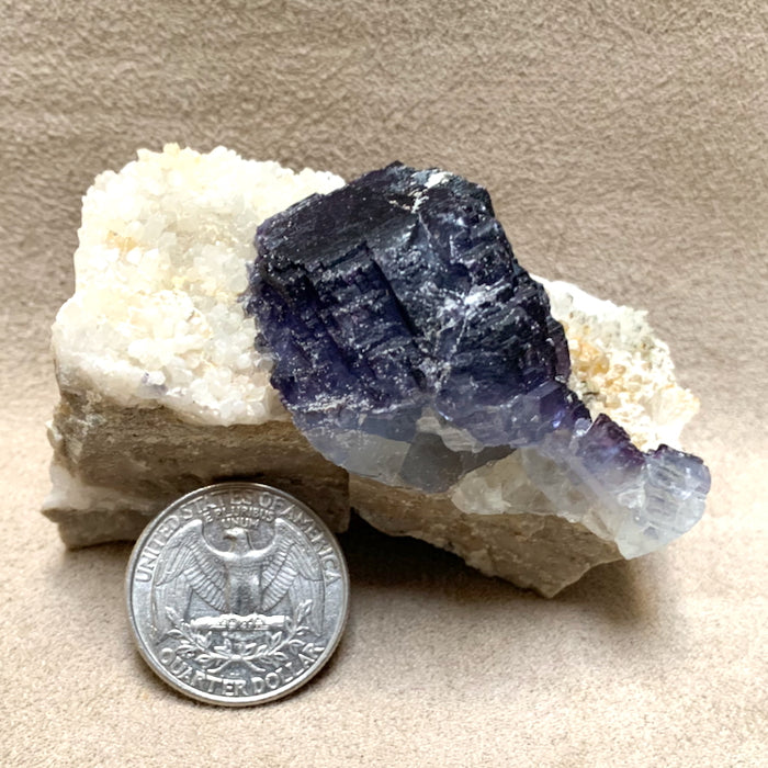 Fluorite and Quartz (Mex-Tex Mine, Socorro Co., New Mexico)