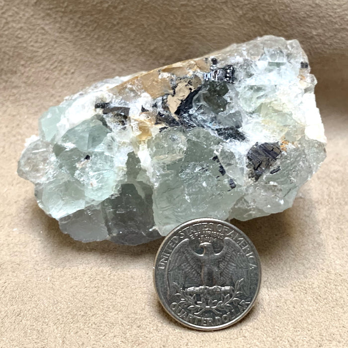 Fluorite and Galena (Mex-Tex Mine, Socorro Co., New Mexico)