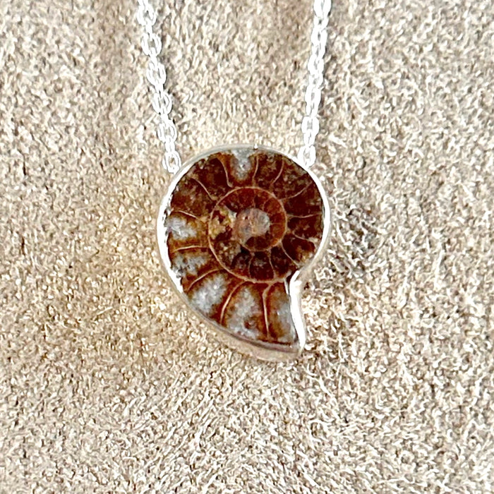 Ammonite and Sterling Silver Pendant on Chain