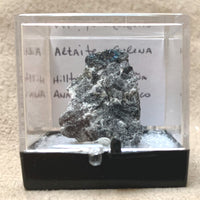 Altaite and Galena (Dona Ana Co., New Mexico)