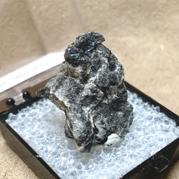 Altaite and Galena (Dona Ana Co., New Mexico)