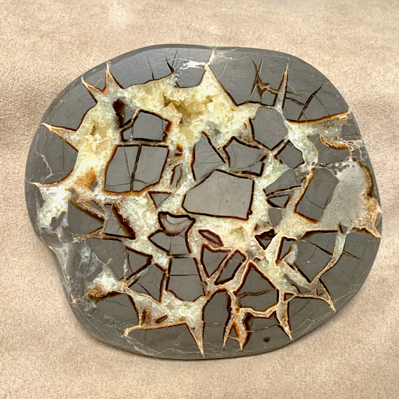 Septarian Calcite Nodule (Utah)