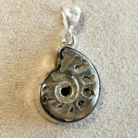 Pyritized Ammonite Pendant