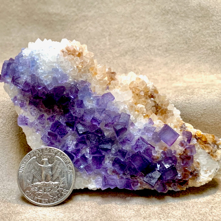 Fluorite with Quartz (Blanchard Mine, Socorro Co., New Mexico)