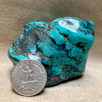 Turquoise Polished "Nugget"