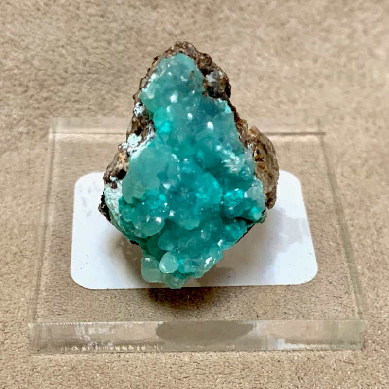 Smithsonite with Aurichalcite (Kelly Mine, Socorro Co., New Mexico)