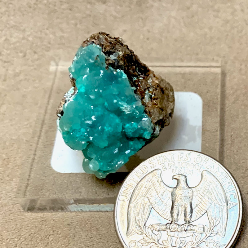 Smithsonite with Aurichalcite (Kelly Mine, Socorro Co., New Mexico)