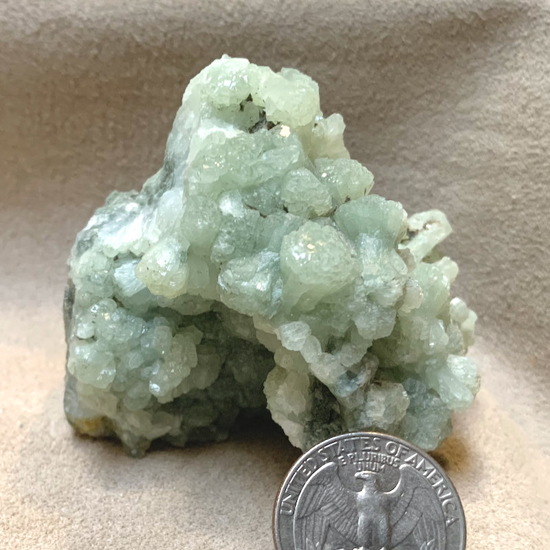 Prehnite (Morocco)