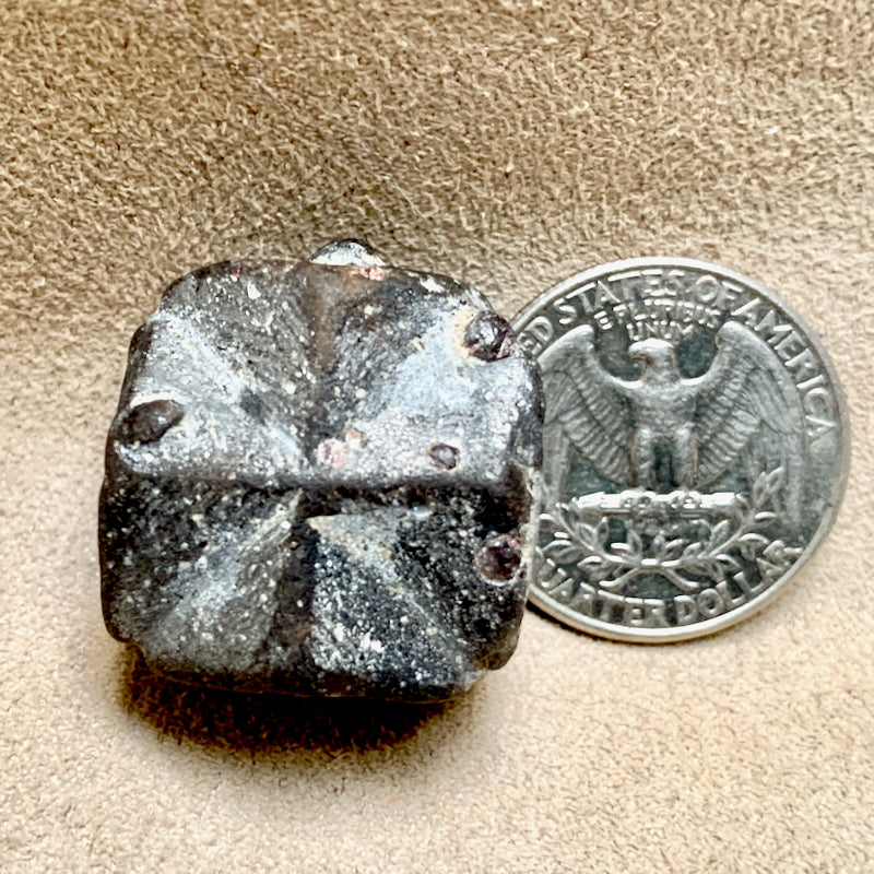 Staurolite Crystal (Taos Co., New Mexico)