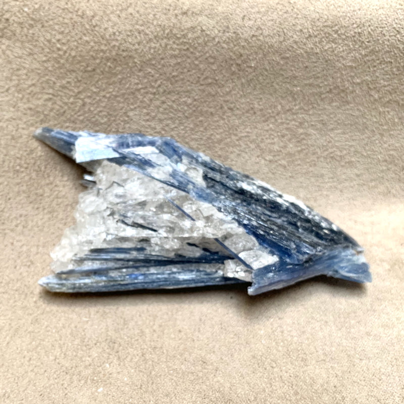 Kyanite and Quartz (Brazil)