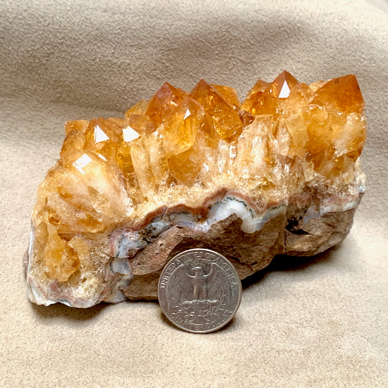 Citrine Crystal Cluster (Brazil)