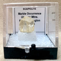 Scapolite (Tanzania)