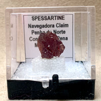 Garnet, Spessartine (Brazil)