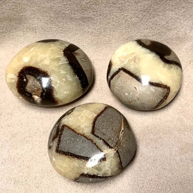 Septarian Calcite Polished Pebble (amplifying, cleansing, balancing)