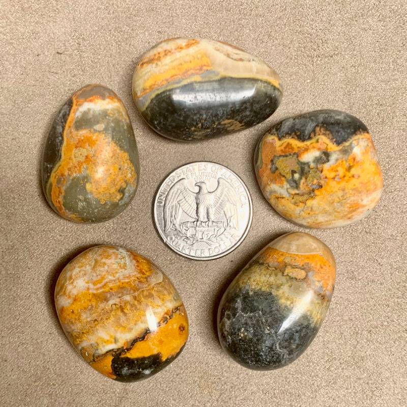 Bumble Bee Jasper Polished Pebble