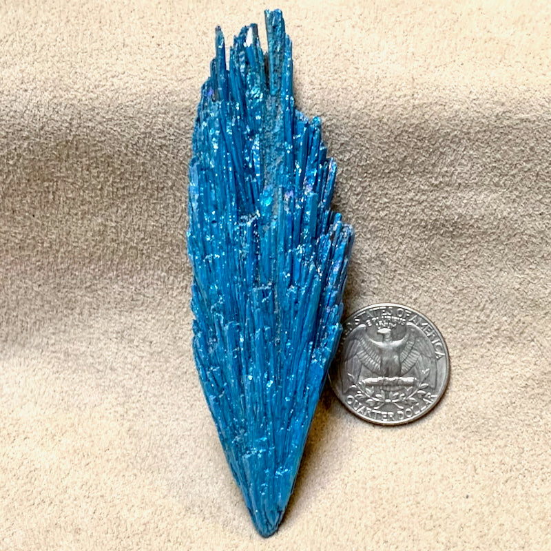 Kyanite, Blue Dichroic