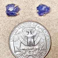 Tanzanite Rough Post Earrings