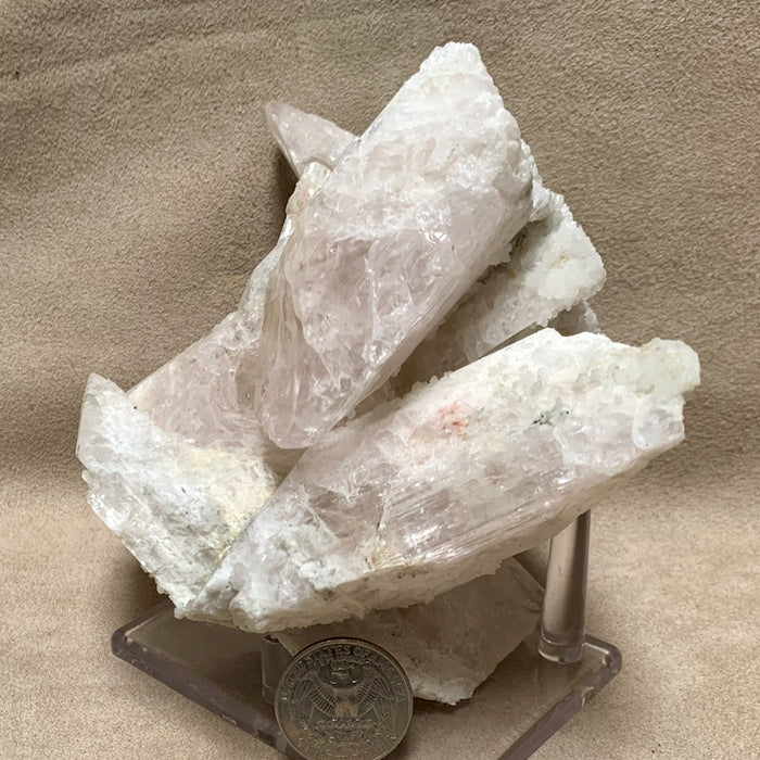 Danburite Crystal Cluster (Mexico)