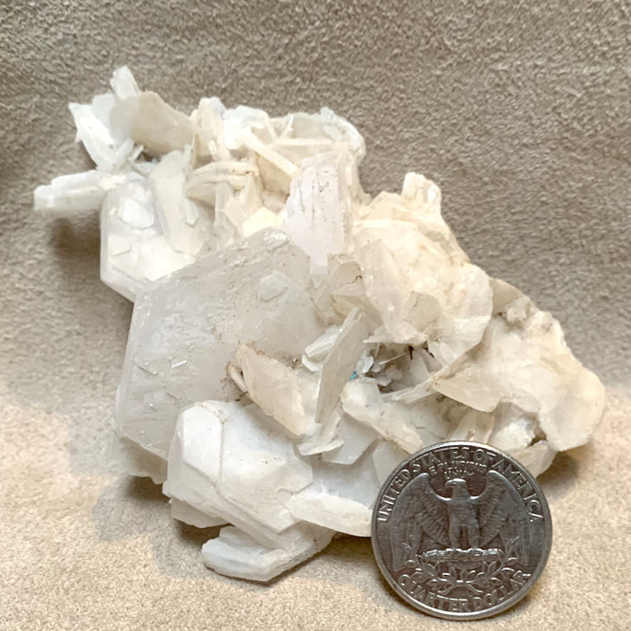 Calcite "Poker Chip" (Rio Arriba Co., New Mexico)