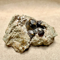 Garnet, Andradite (Santa Fe County, New Mexico)