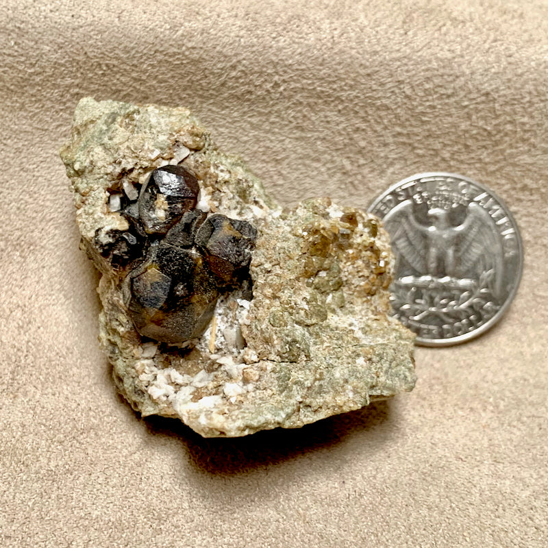 Garnet, Andradite (Santa Fe County, New Mexico)