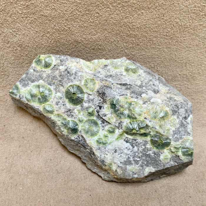 Wavellite on Matrix (Arkansas)