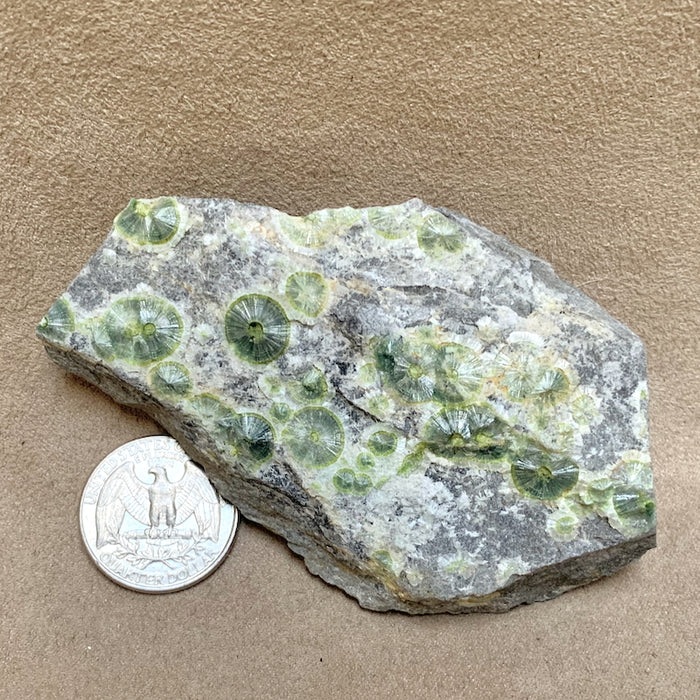 Wavellite on Matrix (Arkansas)