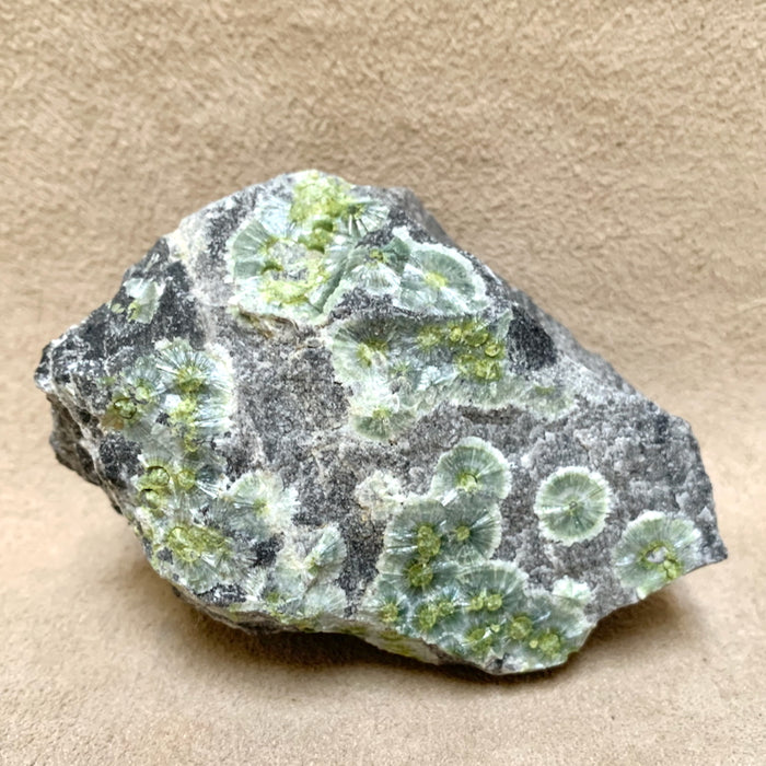 Wavellite on Matrix (Arkansas)