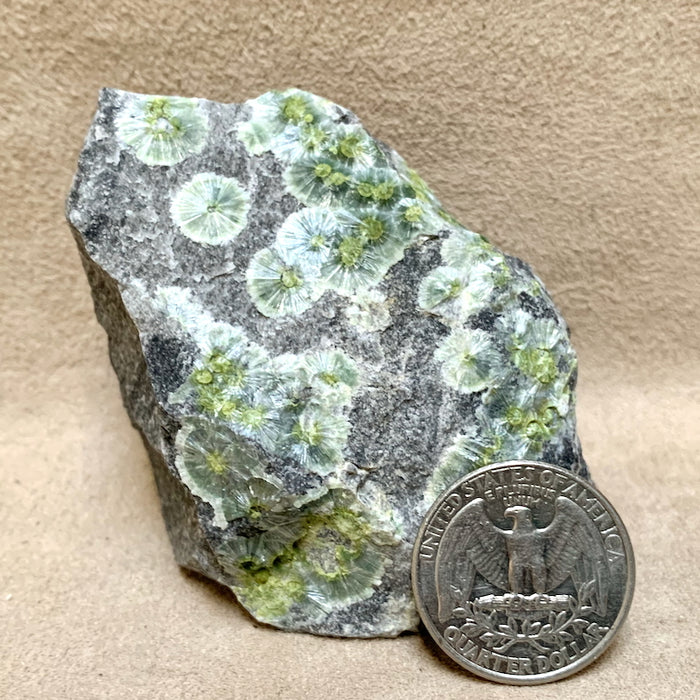 Wavellite on Matrix (Arkansas)