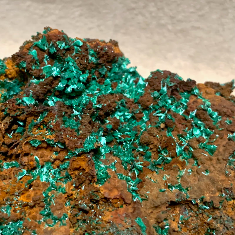 Malachite with Goethite (Mexico)