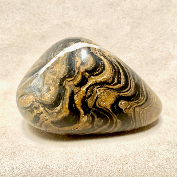 Stromatolite (Bolivia)