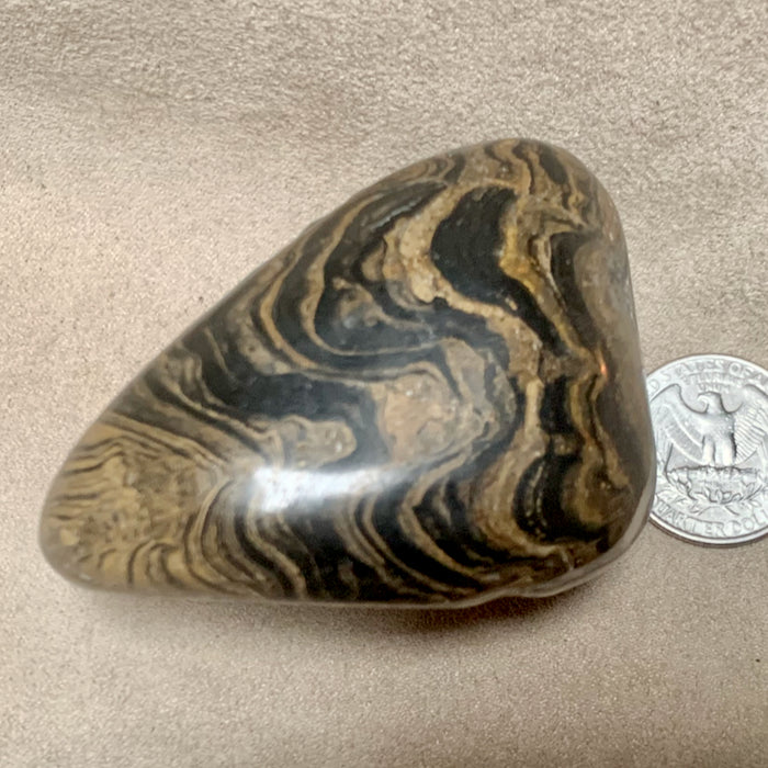 Stromatolite (Bolivia)