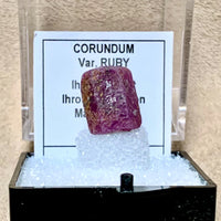 Ruby Crystal (Madagascar)