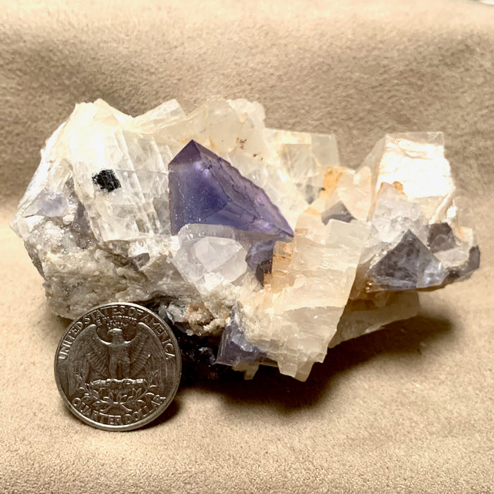 Fluorite with Quartz, Barite, Galena (Socorro County, New Mexico)